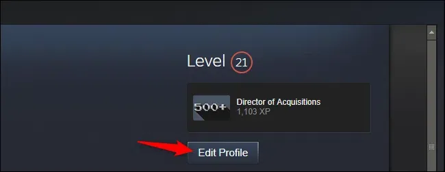 Steamでプレイしているゲームを非表示にする方法