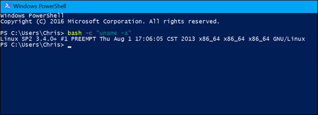 如何在Windows 10上从Bash Shell外部运行Linux命令