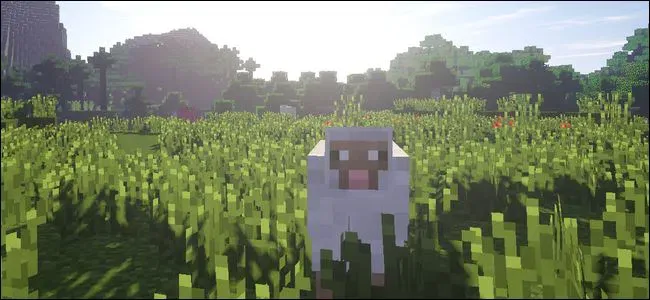 如何用着色器泵送minecraft Eyecandy