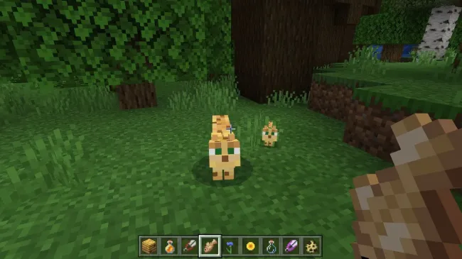 如何在minecraft驯服豹猫